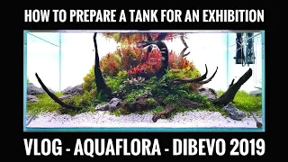 VLOG | How to prepare a tank for exhibition | Dibevo 2019