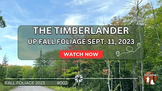 Unveiling the Beauty of Upper Michigan in Autumn | Sept. 11, 2023 Foliage Report