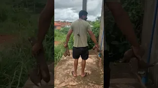 nunca fique de costa pra uma aranha 😂