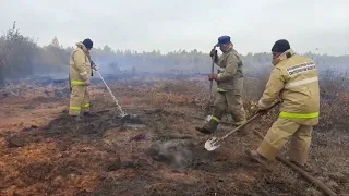 Свердловским пожарным удалось уменьшить площадь тлеющего торфа у деревни Большое Седельниково.