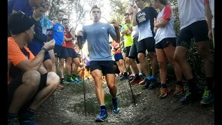 Técnica de subida y bajada en trail running por Pau Capell (Con subtítulos)