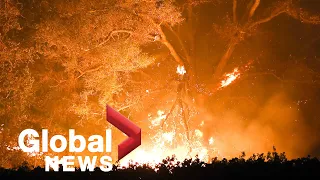 California wildfires: Blazes leave trail of destruction in California’s wine country