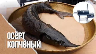 ОСЕТРИНА копченая в смокере, самая вкусная красная рыба