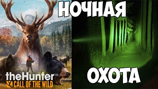 theHunter: Call of the Wild - Ночная охота