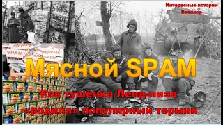 Мясной SPAM. Как тушёнка Ленд-лиза «родила» популярный термин