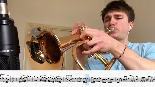 What if As It Was had a flugelhorn solo