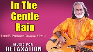 In The Gentle Rain | Pandit Vishwa Mohan Bhatt (Album: Music For Relaxation) Music Today