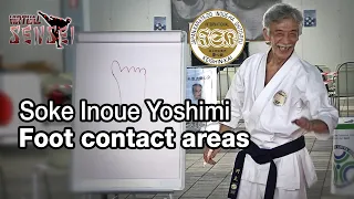 Soke Inoue Yoshimi - The 3 contact areas under the foot - Seminar Italy 2013