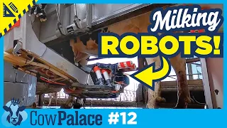 Figuring Out What ROBOT to Choose! + Some Sheep! | Building Our Cow Palace - E12