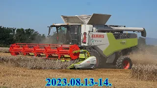 │2023.08.13-14.│🇩🇪 CLAAS TRION 750 + Vario 770🚜│🌾 Sklizeň pšenice│🌾🚜☀️🇭🇺