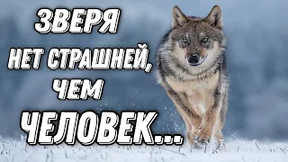 " Он убегал, в него стреляли".