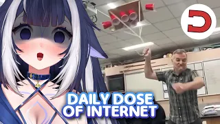 Lily gets her Daily Dose of the Internet #1