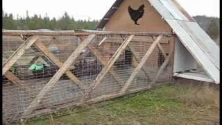 Monster Chicken Tractor