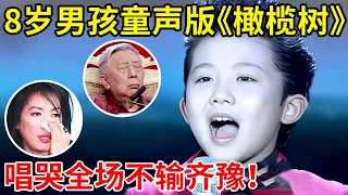 8岁小男孩天籁之音!一首《橄榄树》唱哭全场,竟不输原唱齐豫【家有小明星】