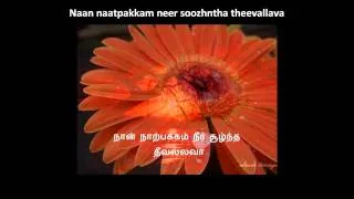 Lolita - Engeyum kadhal - Lyrics