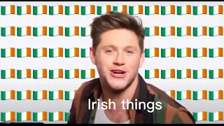 Niall Horan being 200% Irish for 4 minutes