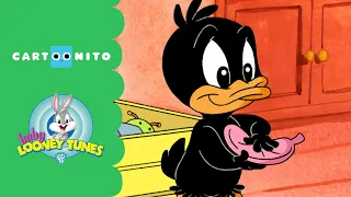 Baby Looney Tunes | Prank Time | Cartoonito