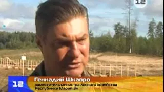 Соревнования лесников в Марий Эл