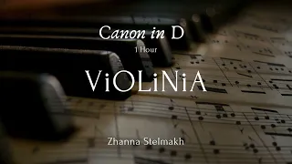 Pachelbel - Canon in D ( 1 hour of violin  for relaxation, stress relief, study, sleep )