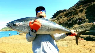 Tuna Landbased Fishing Mayhem