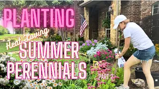 PT2 | Heat Loving Perennials | Landscape Design, Planting & Dividing for a Summer Flower Garden