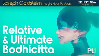 Part I : Relative and Ultimate Bodhicitta Joseph Goldstein – Insight Hour Podcast Ep. 179
