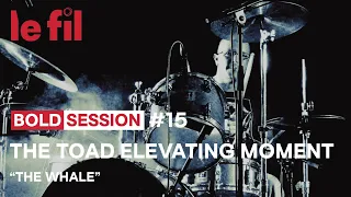 BOLD SESSION #15 // The Toad Elevating Moment - The Whale @ le fil