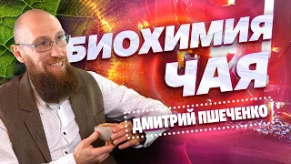 Биохимия чая. Дмитрий Пшеченко-биохимик.