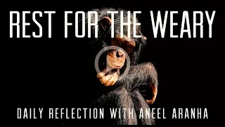 Daily Reflection With Aneel Aranha | February 27, 2018