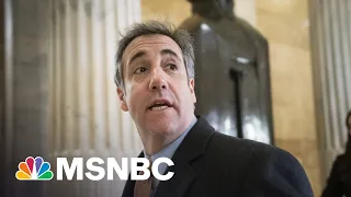 Turning on Trump? Michael Cohen Suggests Trump's Lawyer Pressured Into Lying About Stolen Documents