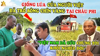 Hàng Triệu Người Mozambique Châu Phi VỠ ÒA HẠNH PHÚC Khi Được Sang Việt Nam Học Trồng  Lúa