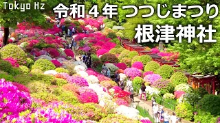 4K 令和４年 文京つつじまつり＠根津神社  / Bunkyo Azalea Festival 2022 at Nezu Jinja (Shrine) in Tokyo Japan 4k 60fps