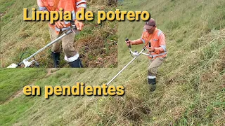 ¿Cómo trabajar en pendiente con  guadaña stihl fs 260c. como trabalhar em um declive com uma foice