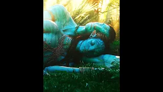 cutest scene #avatar #avatar2009 #avatarthewayofwater #neytiri #jakesully #avataredit #avatarmovie