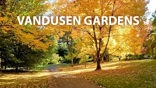 VanDusen Gardens virtual 4K autumn walk in Vancouver, BC Canada