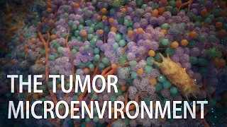 A closer look at the tumor microenvironment | tumor animation | tumor growth | cancer immunotherapy
