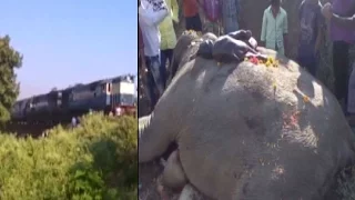 Speeding train kills 3 elephants