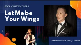 Let Me be Your Wings  (Barry Manilow song Cover)