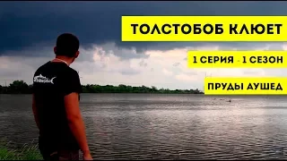 Толстолоб клюет. Щука. Судак. Сом | Пруды Аушед | Рыбалка в Краснодаре | Рыбалка с Barrakuda show