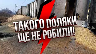 ⚡️Офігіти! Поляки ПОКЛИКАЛИ Путіна! Найбільша ДИВЕРСІЯ на кордоні. Київ дав УЛЬТИМАТУМ. Спрацювало?