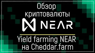 🔥Обзор криптовалюты NEAR Protocol 🚀 Yield farming NEAR на Cheddar.farm💰