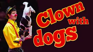 Клоун с собаками .Премьера немецкого дога Оскара/Clown with dogs .Premiere of the Great Dane Oscar.