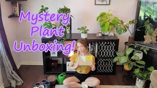 Plant Unboxing | Mystery Plants