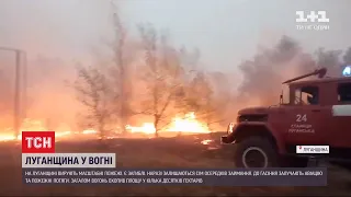 Під час пожеж в Луганській області загинули 8 людей