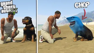 FRANKLINS DOG becomes a SHARK (GTA 5 Mods)