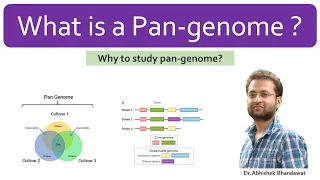 What is Pangenome? Importance of Pan-genome