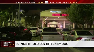 Dog attacks 10-month-old boy in Broward County