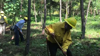 Curso de Combatientes de Incendios Forestales