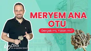 Meryem ana otu.. gerçek mi? Yoksa hurafe mi?  Haydi gelin cevabını birlikte bulalım..:)