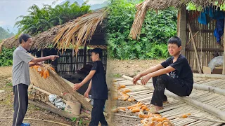 Orphan Boy - His house was destroyed by a drunkard, chased the boy away, pitiful, made a pig pen